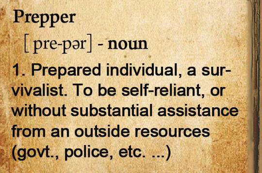 Prepper Definition
