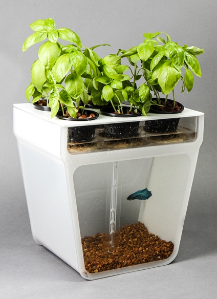 Home_Aquaponics