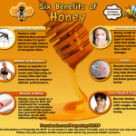 HoneyInfographicLG 150x150 The Survival Doctor Ultimate Emergency Medical Infographic