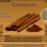 Cinnamon Infographic 150x150 The Survival Doctor Ultimate Emergency Medical Infographic