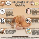 Garlic Infographic 150x150 The Survival Doctor Ultimate Emergency Medical Infographic