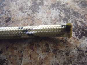 Fused Ends Of Paracord