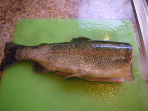 Cleaned Rainbow trout