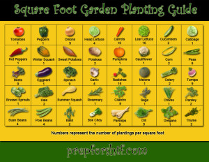 Square Foot Garden Planting Guide