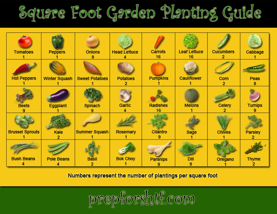 Square Foot Gardening Planting Guide