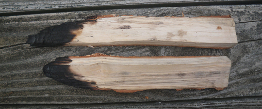 Wood burned with the EcoZoom Versa