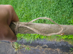 Wrapping cordage