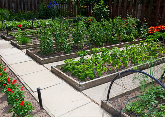 Raised Bed Garden