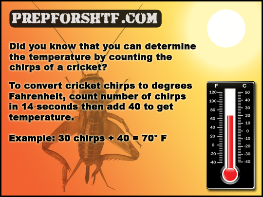 Cricket Chirps Temperature Formula