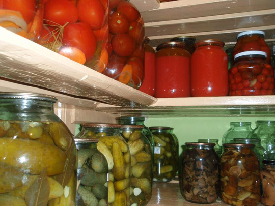 Food Storage