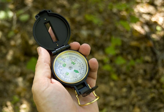 Lost in woods with compass