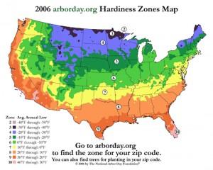hardiness temperatura zones