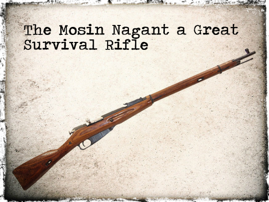 Mosin Nagant Rifle