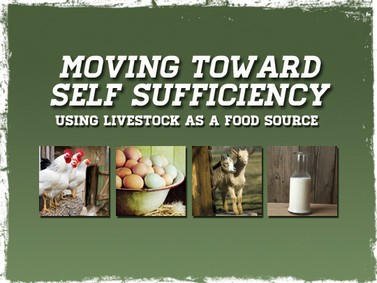 Self Sufficiency Livestock