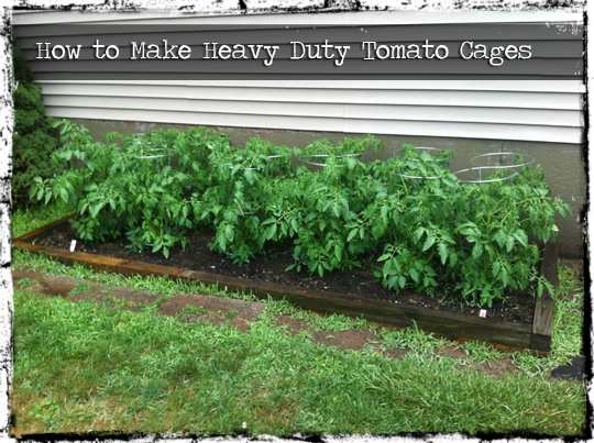Heavy Duty Tomato Cages