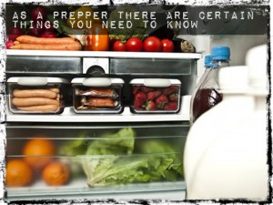 Stocked Refrigerator