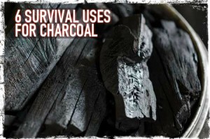 Survival uses for charcoal