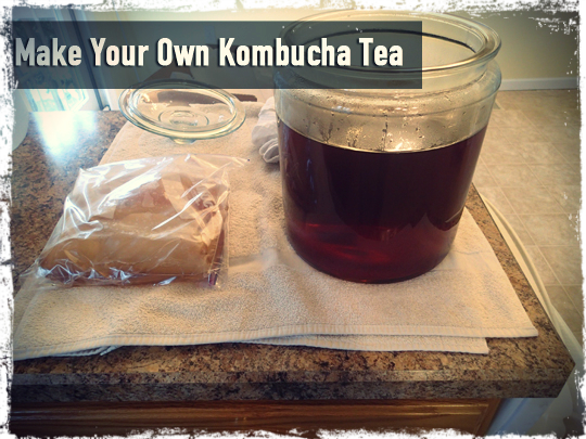 kombucha tea