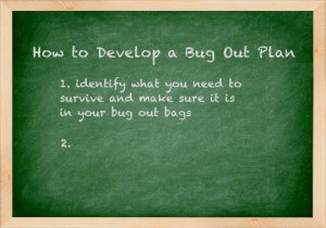 Bug out plan