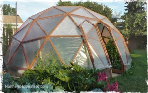 Geo-Dome Greenhouse