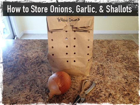 Storing Onions Garlic and Shallots
