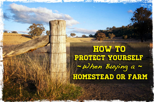 Buying Homestead or Farm