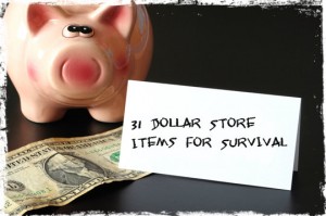 Dollar store survival items