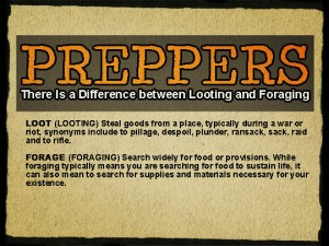 Looting and Foraging