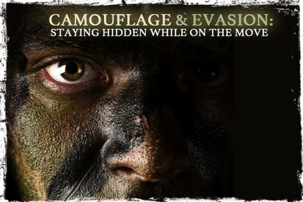 Camouflage and Evasion