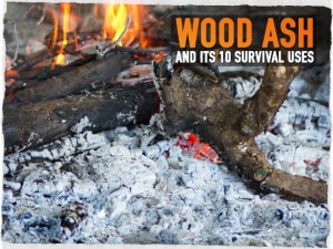 Wood Ash Survival Uses
