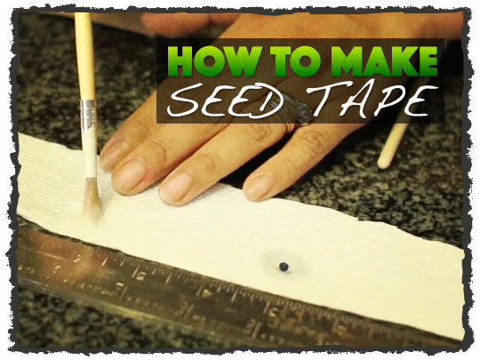 DIY Seed Tape