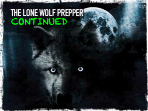 Lone Wolf Prepper Continued