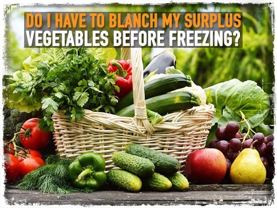 Do I have To Blanch My Surplus Vegetables before Freezing?