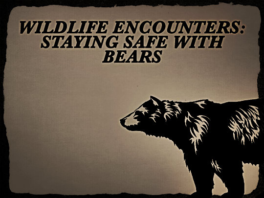 Bear Safety