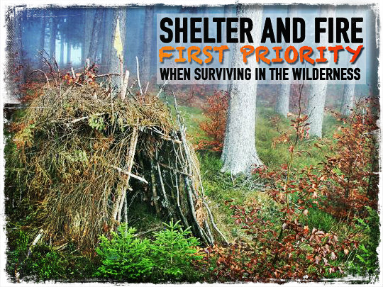 Shelter Fire Survival