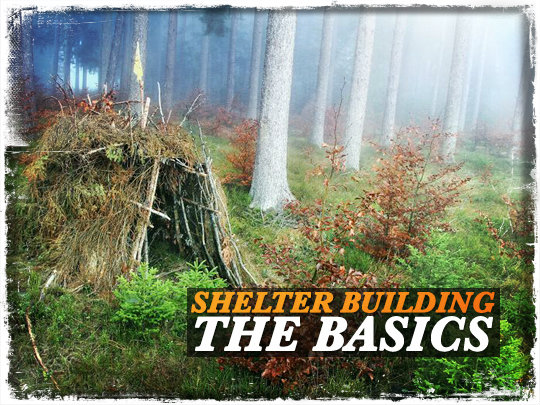 Shelter Building Basics