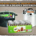 Water Bath Canning VS Pressure Canning