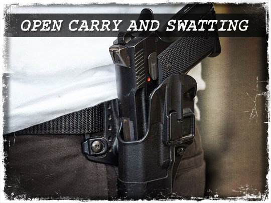 Open Carry and Swatting