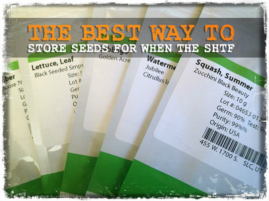 Seed Storage SHTF