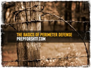 Perimeter Defense Basics