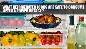 Refrigerated Foods Power Outage