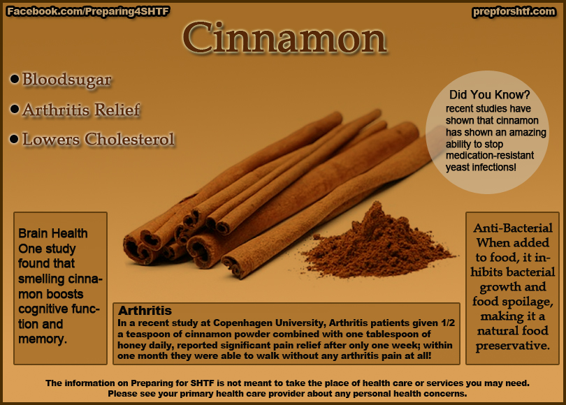 Cinnamon Benefits Infographic