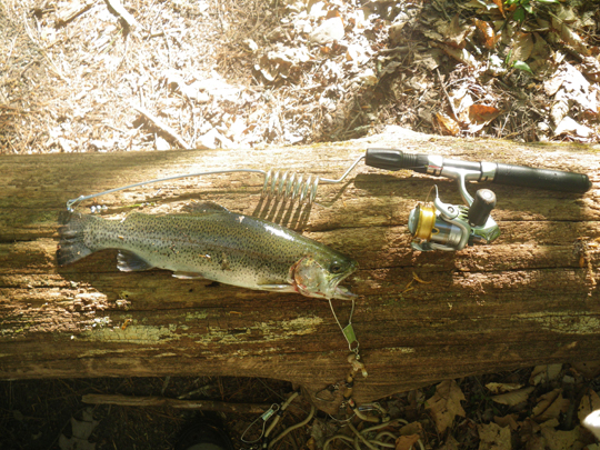 Emmrod Pack Rod with a Rainbow Trout