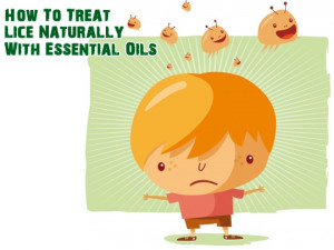 Treat lice with essential oils