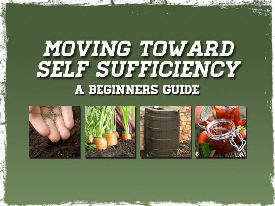 Self Sufficiency