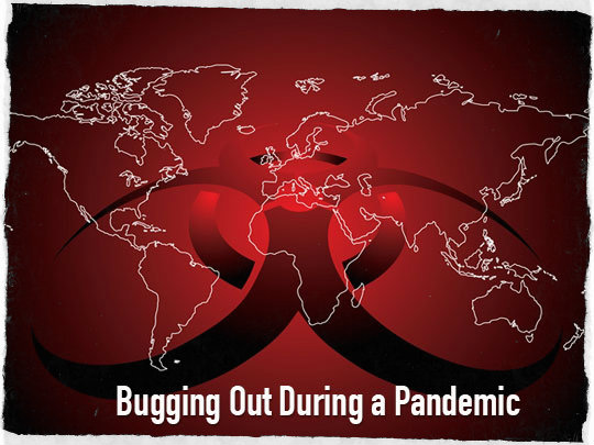 Bugging Out During Pandemic