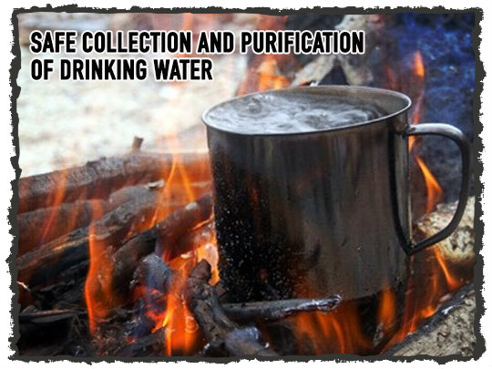 Boiling Water Purification