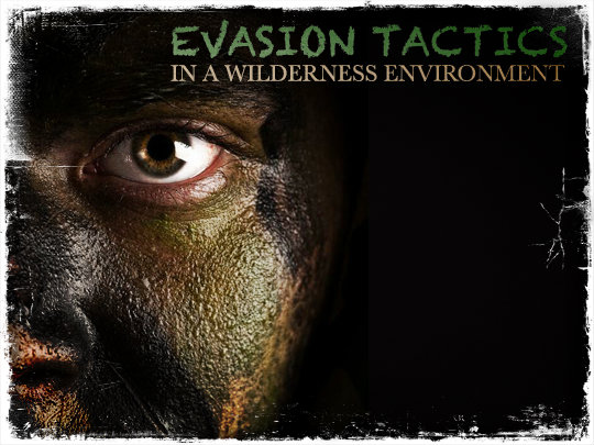 Evasion Tactics Wilderness Environment