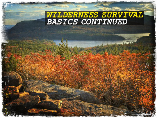 Wilderness Survival Basics Continued