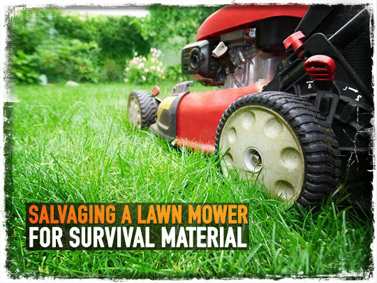 Lawn Mower Survival